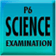 P6 Science